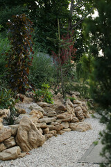 ogród miejski, przyroda, rośliny, natura, aranżacje ogrodowe, buk purple fountain, rododendron,...