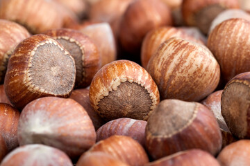 whole hazelnuts on a wooden table,in shell