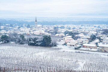 French vineyard village Cornas covered by the snow with grape vines on the foreground and Vercors...