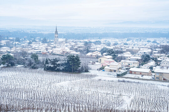 French vineyard village Cornas covered by the snow with grape vines on the foreground and Vercors mountains on the background.