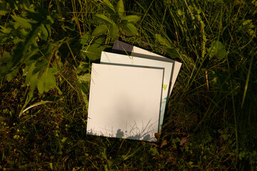 photobook in nature magazine