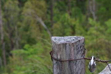 Fence post