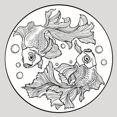 two goldfish are spinning in a circle. vector sketch.