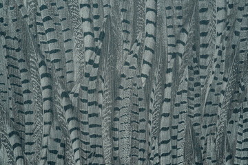 Photo of the fabric in animal print