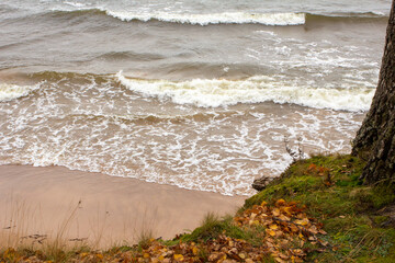 Baltic Sea coast, view from a small cliff