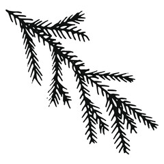 hand drawn spruce twig  in doodle style
