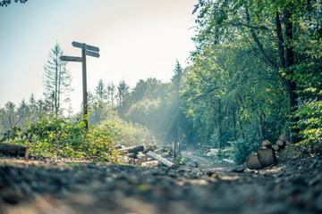 Wegweiser an einer Waldweggabelung am Hermannsweg im Teutoburger Wald