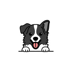 Cute border collie dog cartoon, vector illustration