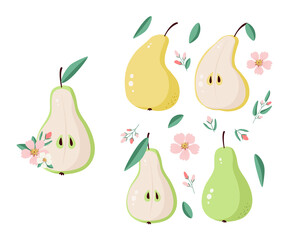 Set of vector fruits - pears and twigs with buds. Sweet summer food, green and yellow pears. Vitamins, fruits are drawn in flat style. Fruit in a cut, a slice of pear with seeds and flowering.