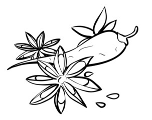 Anise star and chili pepper spices linear illustration. Flavoring, seasoning. Contour symbol. Vector isolated outline doodle. 