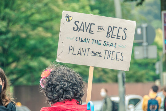 F&uuml;r mehr Umweltschutz auf der Fridays For Future Demo
