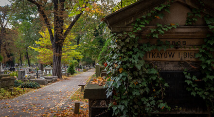 Zabytkowy cmentarz Rakowice w Krakowie