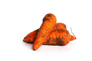 Dirty carrots isolated on a white background.