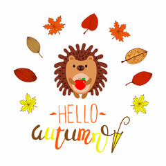 Greeting card: Hello autumn. Creative hand drawn card with cute hedgehog and leaves. Vector cartoon illustration. Hedgehog isolated on white.