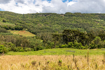 Fototapeta na wymiar Farm field and forest over mountains