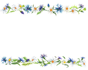 Watercolor border with wild flower White background.