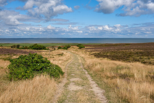Wanderweg durch die wundersch&ouml;ne Natur der Braderuper Heide auf der Nordseeinsel Sylt im Sommer mit Blick in Richtung Wattenmeer und deutscher Festlandk&uuml;ste