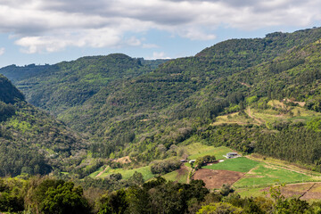 Fototapeta na wymiar Farm field with forest on the mountains