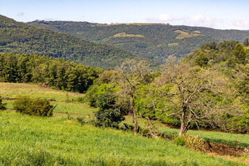 Fototapeta na wymiar Farm field with forest on the mountains