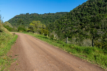 Dirty road around forest