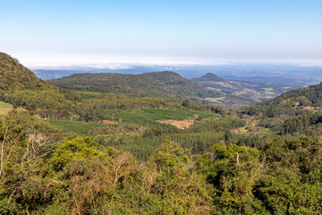 Forest with mountains and valley