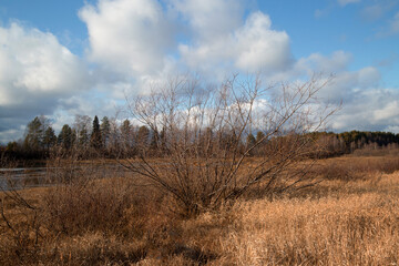 Autumn landscape with beautiful clouds.Late autumn.