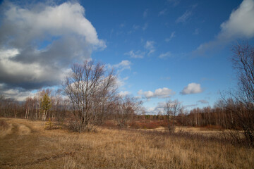 Autumn landscape with beautiful clouds.Late autumn.