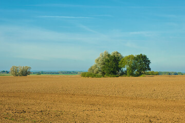 Plowed field landscape autumn sunny day season agriculture.