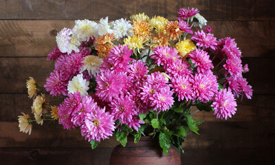 chrysanthemums autumn flowers as a background