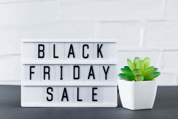 Black Friday sale. Lightbox with text and green plant on white background.