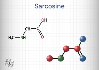 Sarcosine, N-methylglycine, N-alkylglycine molecule. It is amino acid derivative, conjugate acid of sarcosinate. Structural chemical formula and molecule model. Sheet of paper in a cage