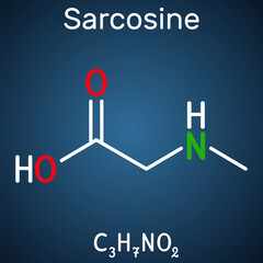Sarcosine, N-methylglycine, N-alkylglycine molecule. It is amino acid derivative, conjugate acid of sarcosinate. Structural chemical formula on the dark blue background. Vector illustration