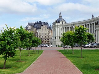 Fototapeta premium park in the city