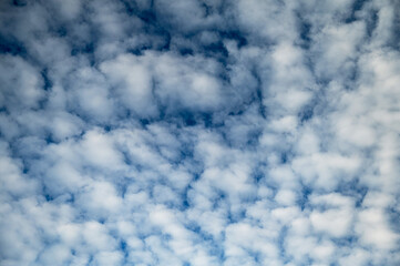 Obraz premium beautiful blue sky background with fluffy clouds in clear autumn day