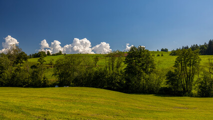 Landschaft im Allgäuer Land