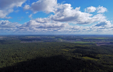 Top view of beautiful green coniferous forest with fir trees and pines