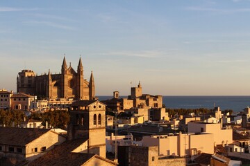 Obraz premium palma cathedral