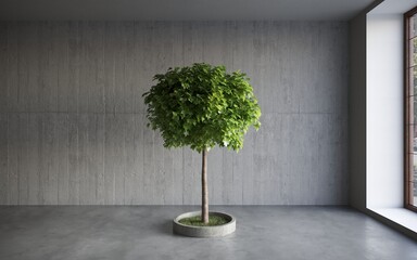 green decorative tree growing in a cement pots on gray wall background. 3D illustration, cg render