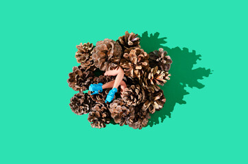 Women's legs with blue shoes emerging from a pile of pine cones. Green background. Autumn holidays celebration creative concept. Halloween or Thanksgiving partying artistic design.