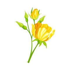 Bright Yellow Rose Flower with Showy Petals on Stem Closeup Vector Illustration