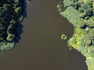 Aerial view of summer landscape with river and forest