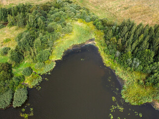 Aerial view of summer landscape with river and forest