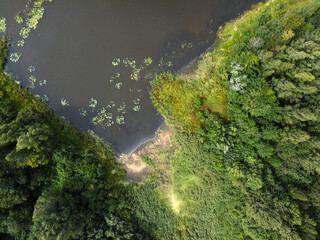 Aerial view of summer landscape with river and forest