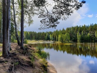 lake in the forest