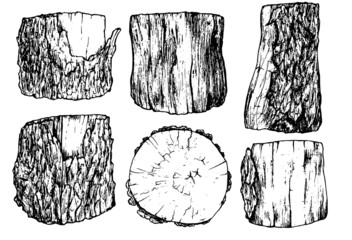 a set of stumps in the sketch style. Black outline of isolated wooden parts, elements hand-drawn cross-sawn tree trunk with bark texture, side and top view on a white background for your design templa - obrazy, fototapety, plakaty