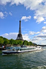 Fototapeta na wymiar Eiffel Tower - the soul of Paris