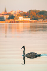 sunset on the lake, autumn, ukiel, olsztyn, poland