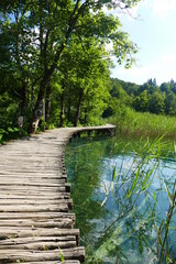 Fototapeta na wymiar wooden bridge in the national park plitvicer lakes croatia 