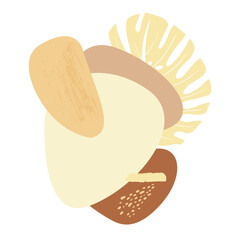 Abstract poster with composition of geometric ovals and monstera leaf in beige natural shades in boho style in vector on white background