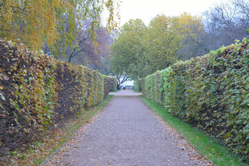 Fototapeta na wymiar Autumn trail in Kuskovo park